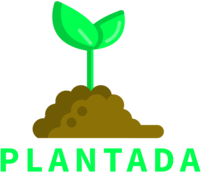 Plantada